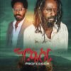 ፕሮፌሰር - Professor